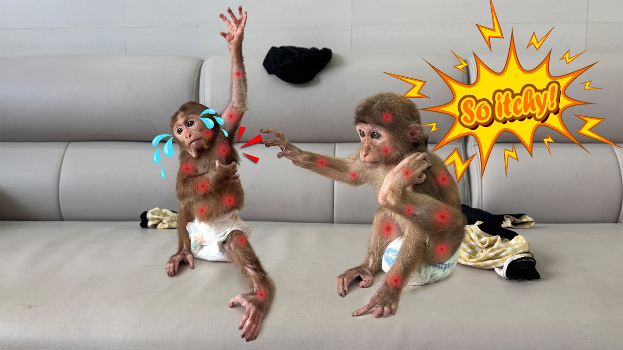 Strange symptoms appear on Lucky and Sunny, leaving them frightened!