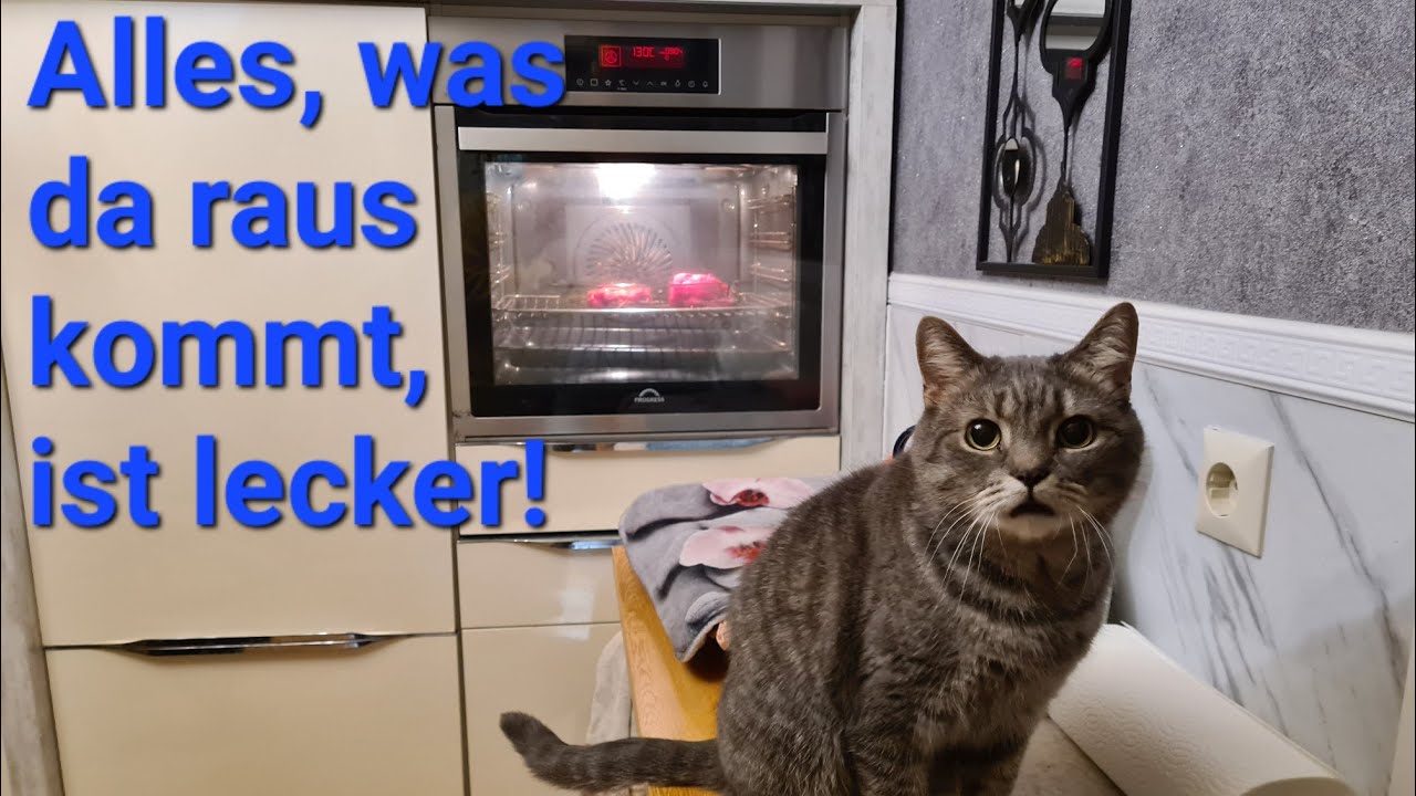 Guckie der Warmduscher 🐱 🐈 Katzenvlog 