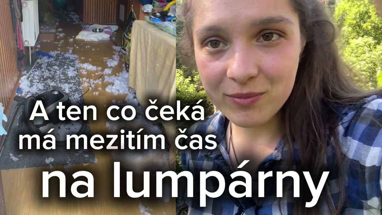 🍀Provozní řád - psí rekreační středisko 🍀