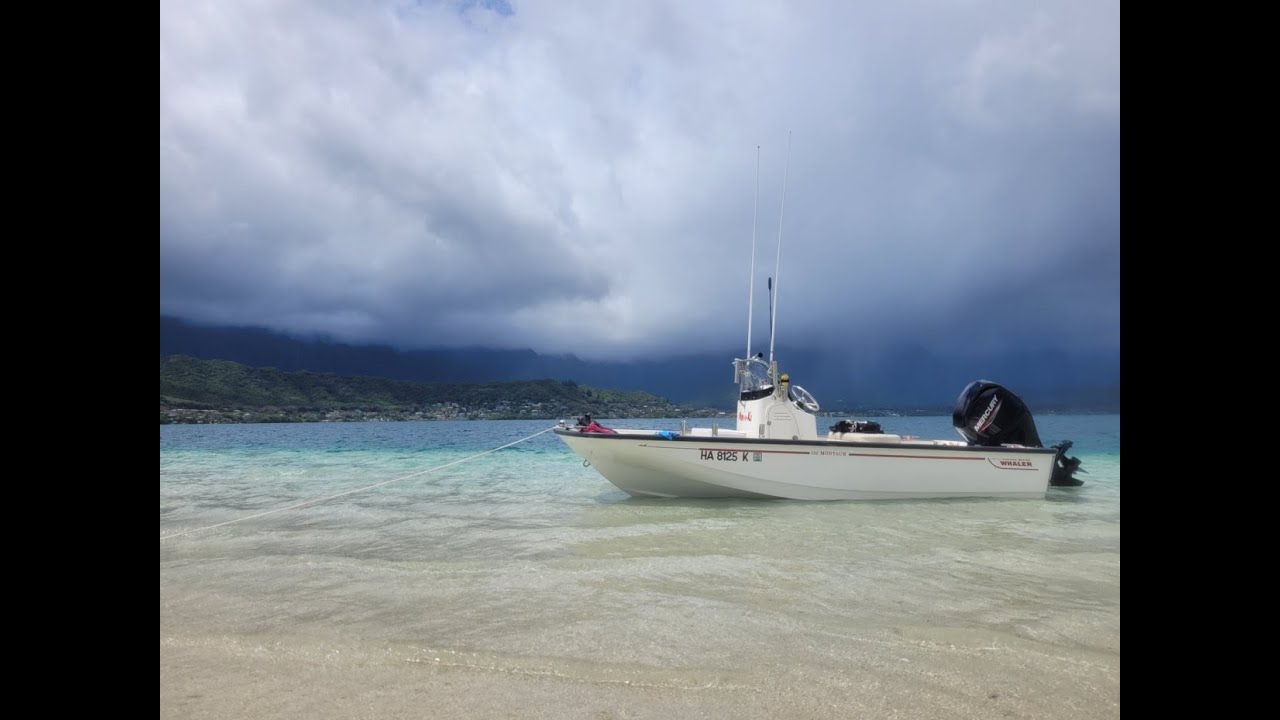 2022 Boston Whaler 150 Montauk outfitted for one person deep water pelagic fishing in Hawaii.