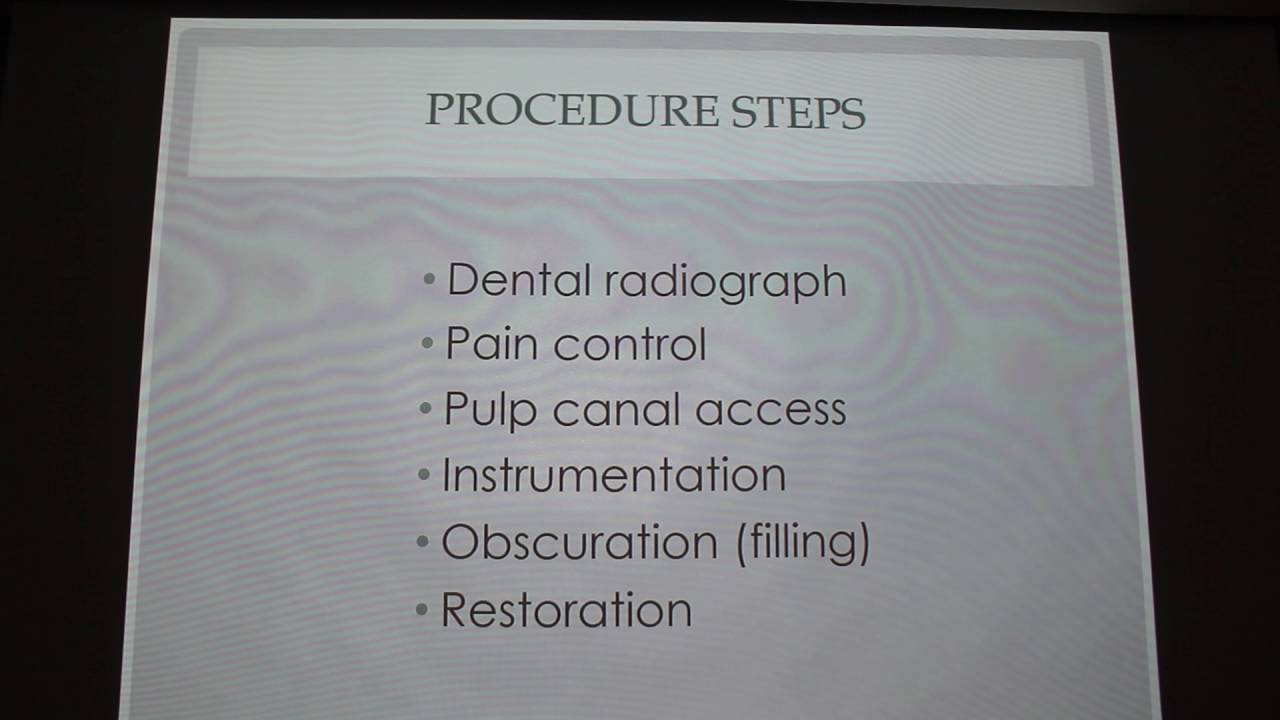 Root Canals for Dogs and Cats