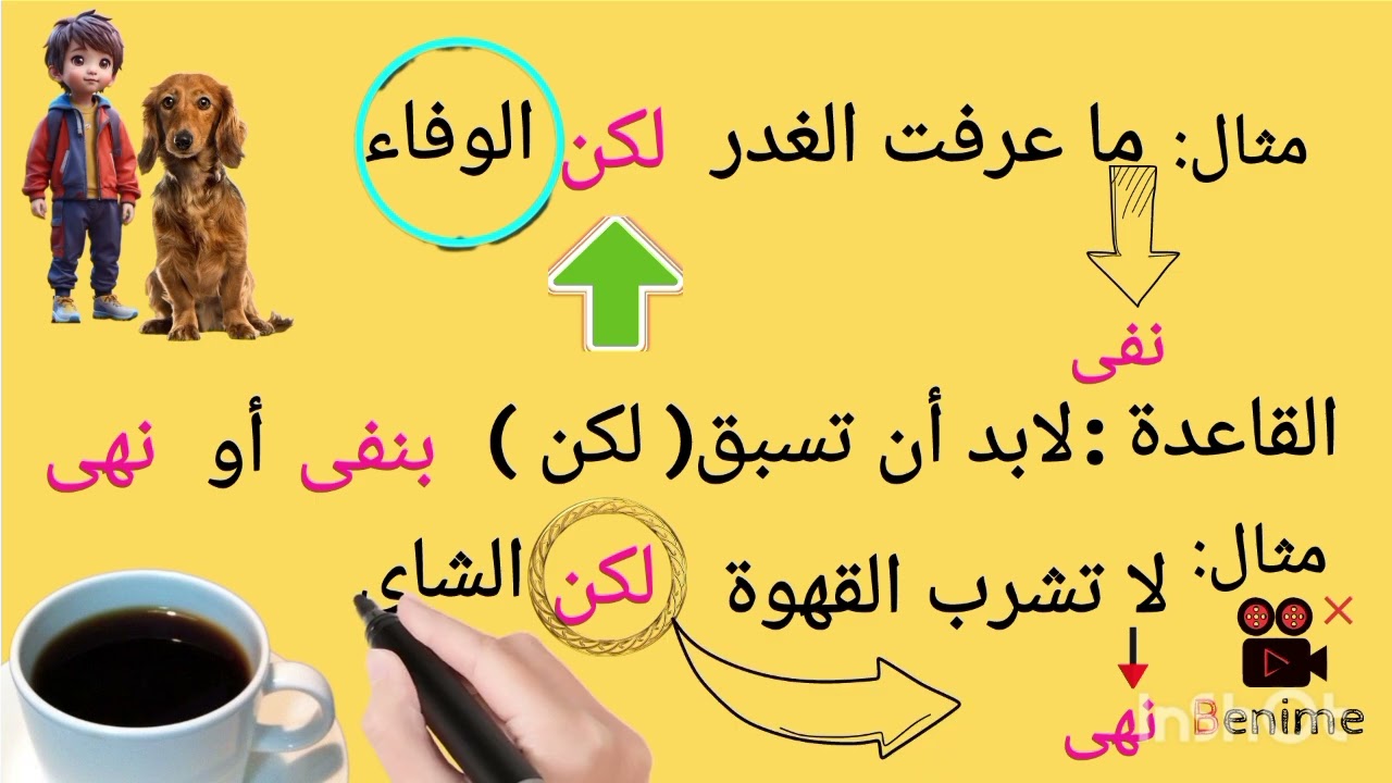 حروف العطف (لكن- بل - لا)