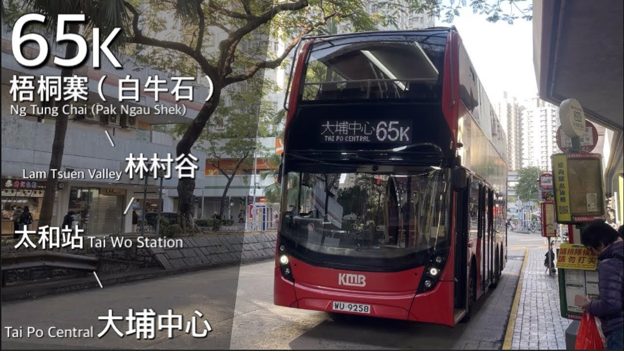 【冰之谷】九巴 KMB 65K 梧桐寨（白牛石）、林村 - 太和站、大埔中心