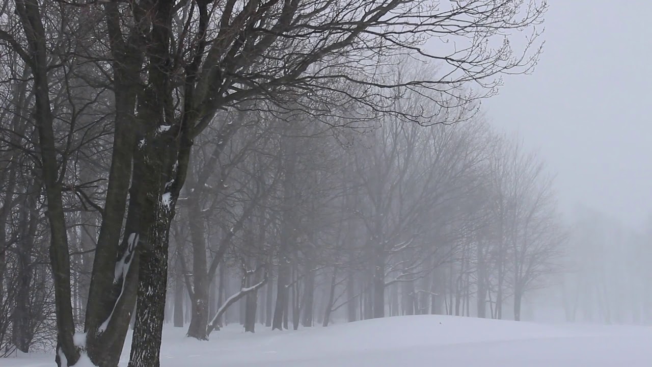 Winter ambience / Ambiente de invierno