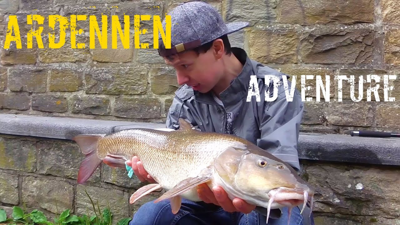 Vissen in de Ardennen! Vissen op Barbeel/Kopvoorn/Forel/Baars.