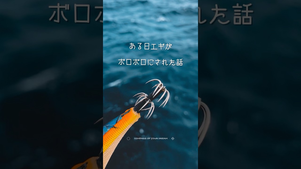 俺のエギが&hellip; #batuta80s #エギング　#fishing