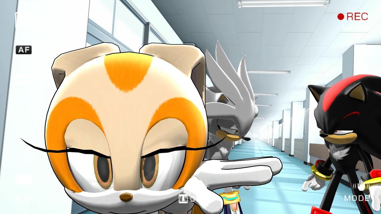 Compilation of Vines and Memes #5 (Sonic MMD)
