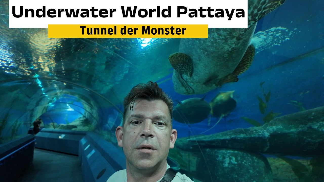 Pattaya Underwater World! 4K! 🦈 Unglaublich so nah war ich Haien noch nie🦈