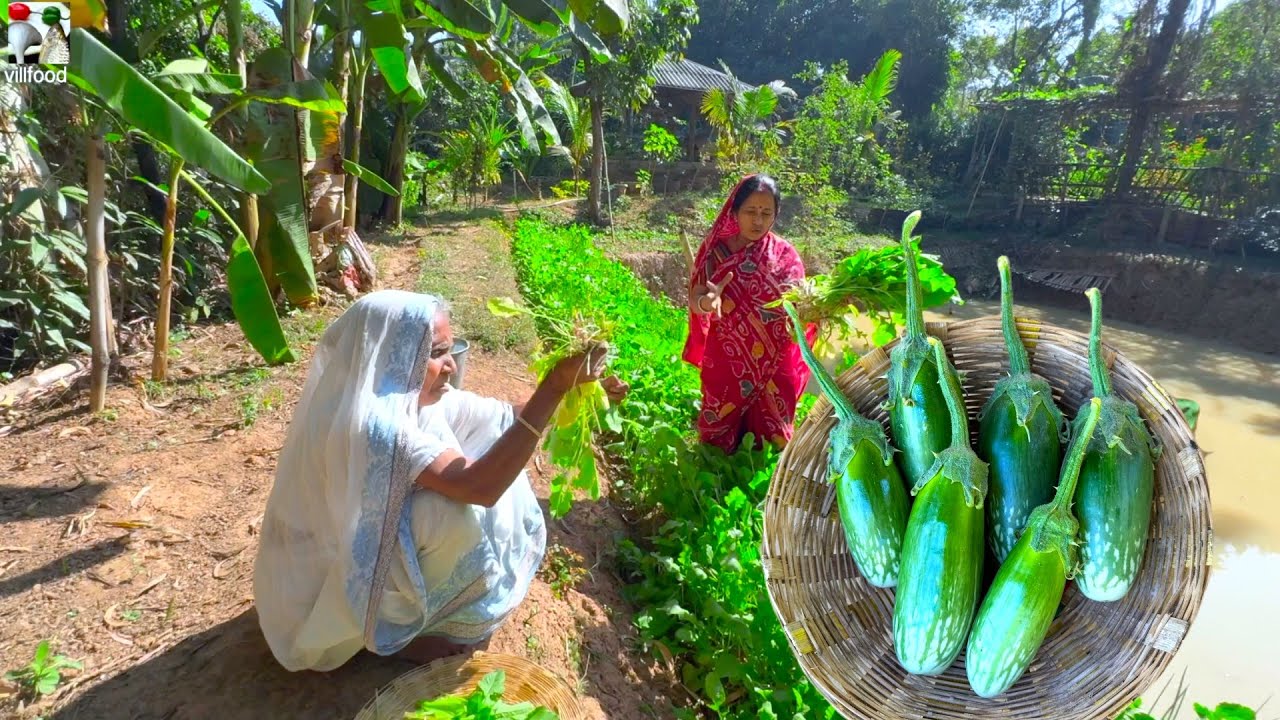 চিংড়ি মাছ দিয়ে সোলোবেগুনের সেরা স্বাদের রান্না | Grandmother style cooking Brinjal and prawn fry
