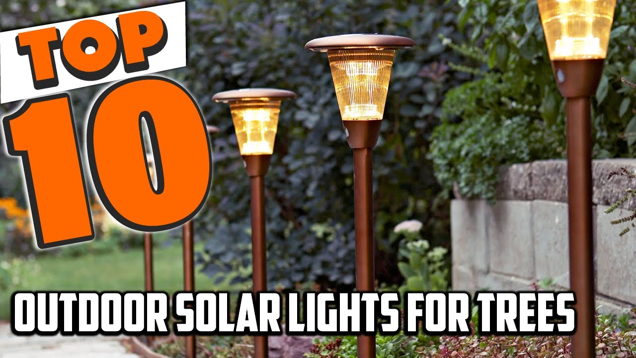 Best Outdoor Solar Lights For Tree In 2025- Top 10 Outdoor Solar Lights For Trees Review