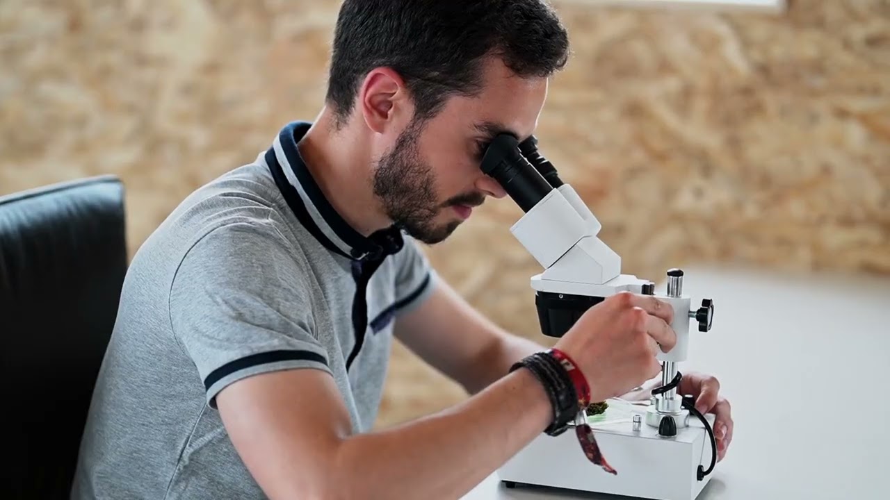 Landing video