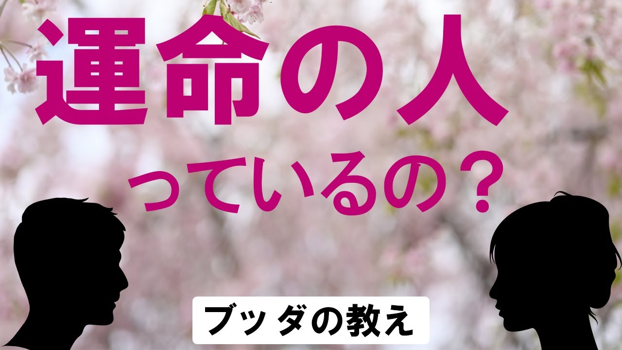 運命の人はいるのか。誰なのか。ブッダに訊く