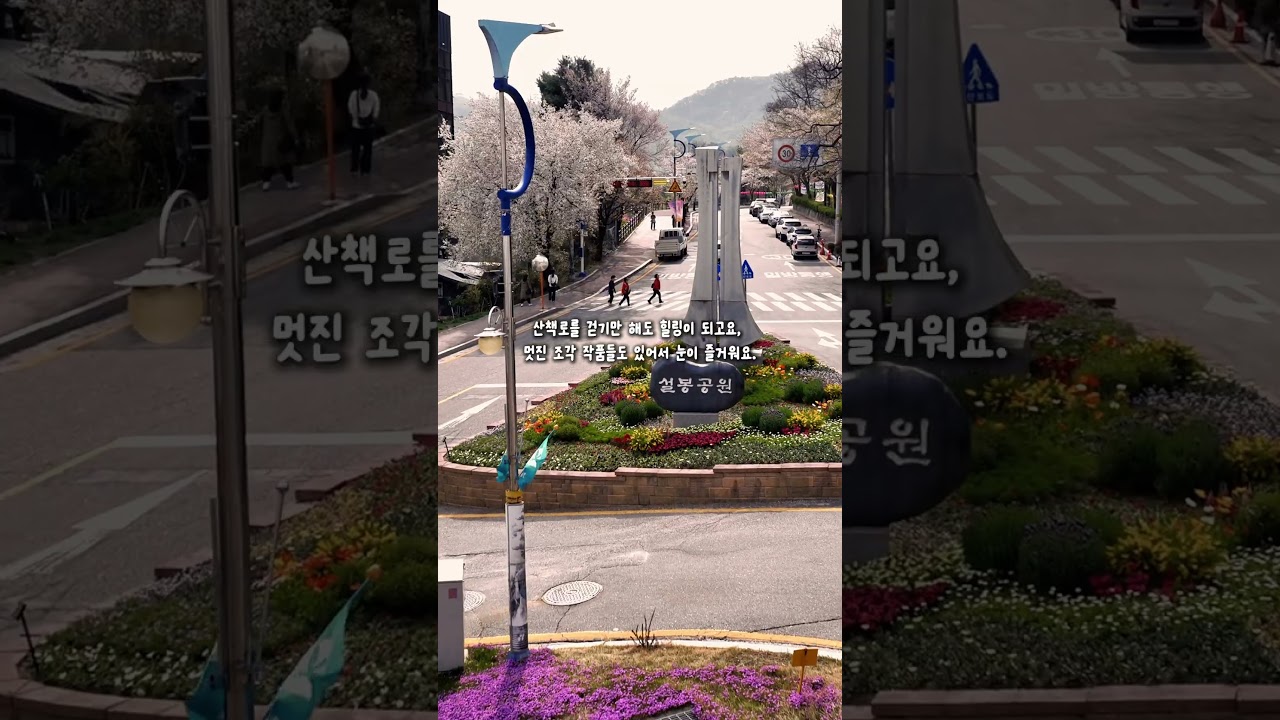 꼭 가야할 벚꽃 명소는 여기!! 설봉공원