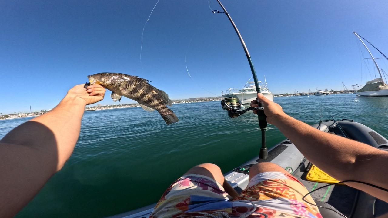 Рыбалка в гавани Хантингтон-Бич против рыбалки в гавани Ньюпорт-Бич