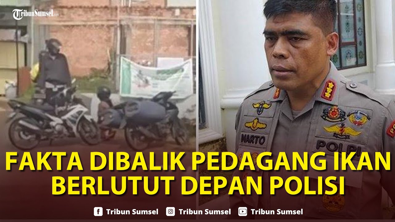 🔴Polda Sumsel Buka Suara, Fakta Dibalik Pedagang Ikan Berlutut Depan Polisi, Memohon Jangan Ditilang