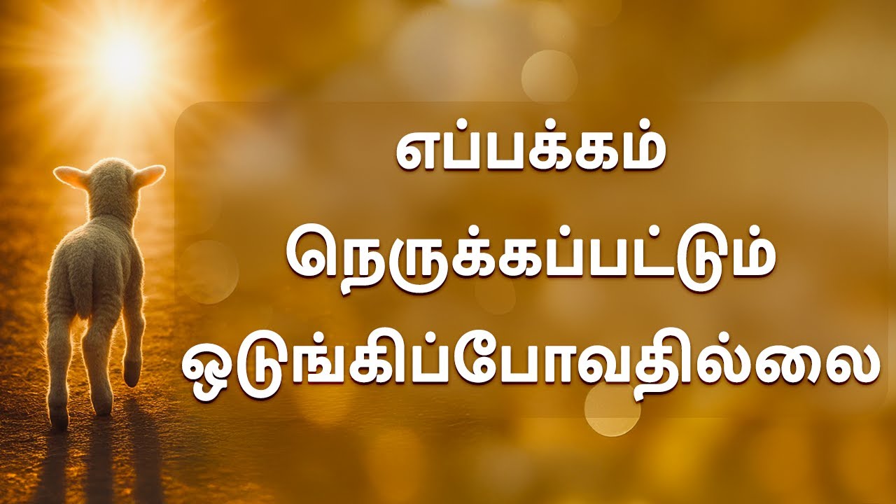 எப்பக்கம் நெருக்கப்பட்டும்  ஒடுங்கிப்போவதில்லை  |  VANAJA CHARLES