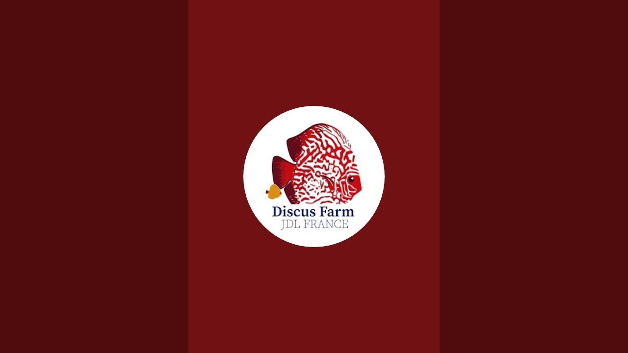 Discus Farm JDL France est en direct !