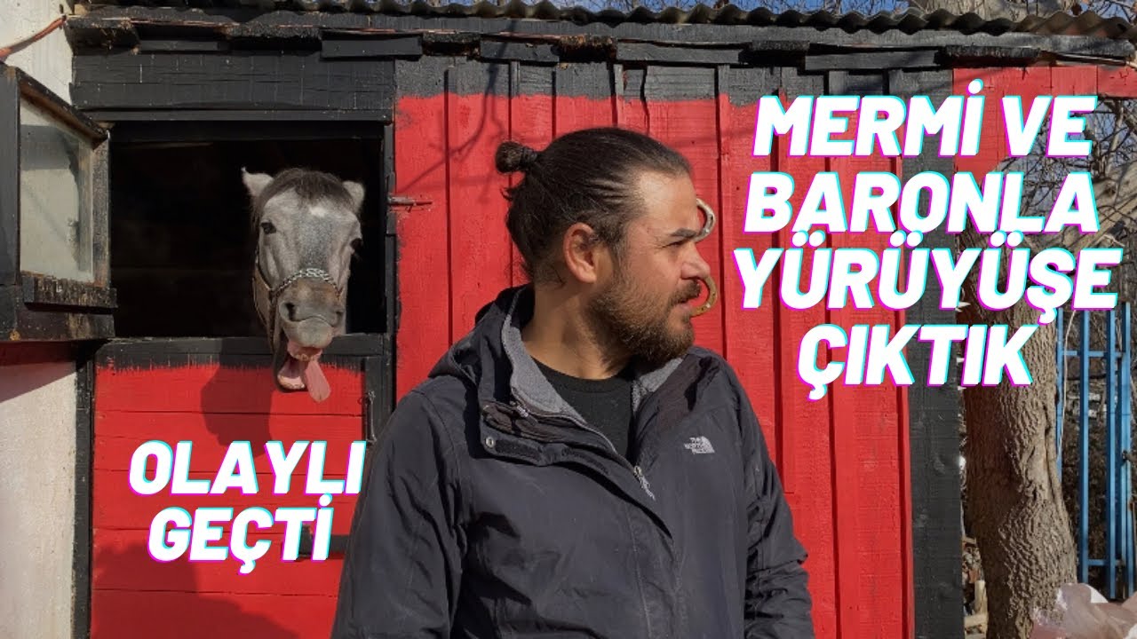 GECE BANA DİL ÇIKARIYOR , BARON VE MERMİ İLK YÜRÜYÜŞ BERABER , OSMAN AGA BİZİMLE BUGÜN