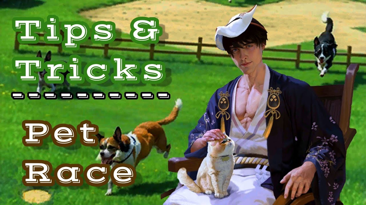 Tips and Tricks Pet Race
