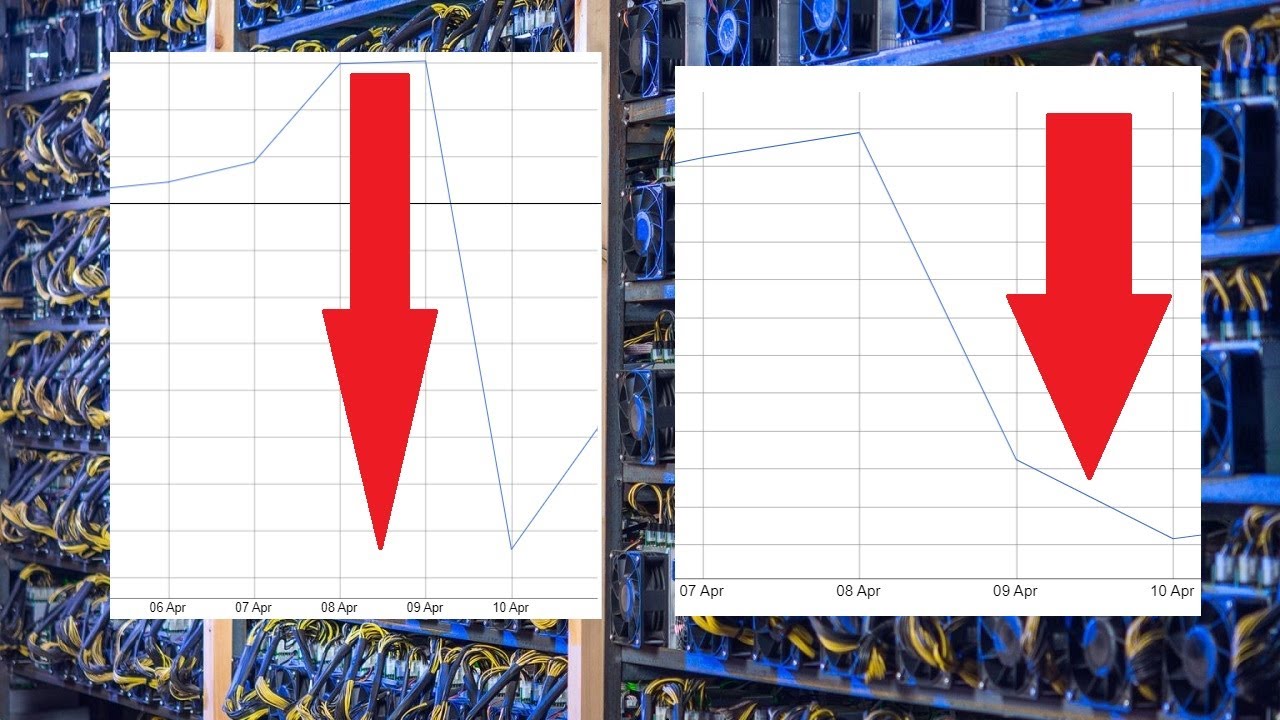 Bitcoin SV & Bitcoin Cash Network Hashrates DROP After Halvings...