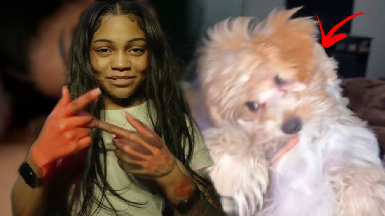 This Chicago Drill Rapper Just Ended Her Career After Doing This To Her Dog