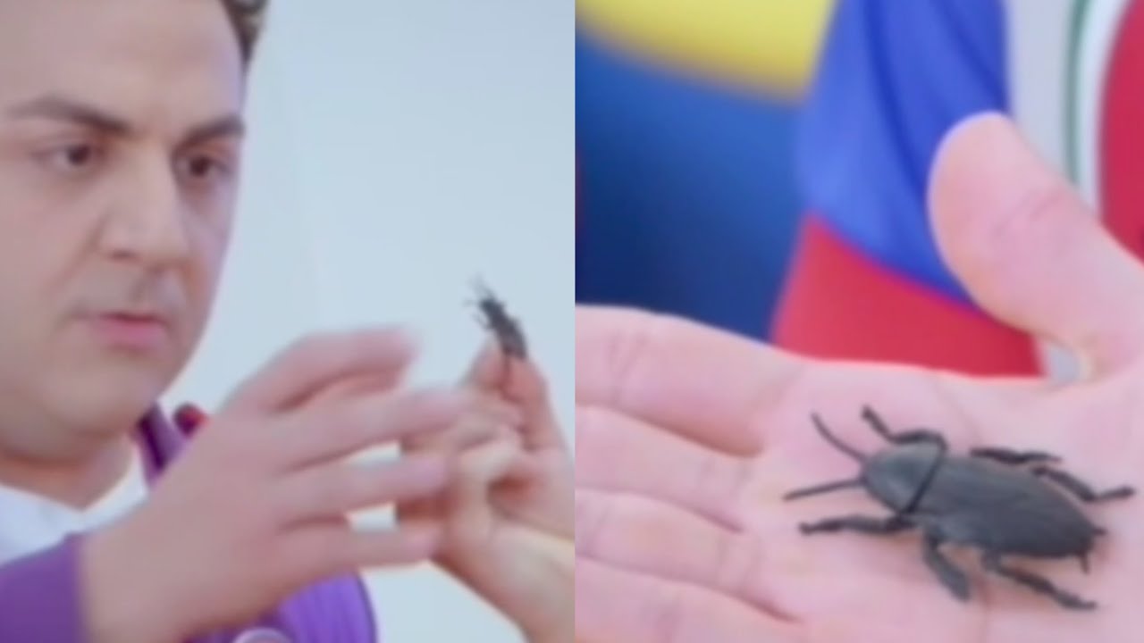 TEM UMA BARATA NA COMIDA DO ARNOLDO😱😱😱 (Junior Express)