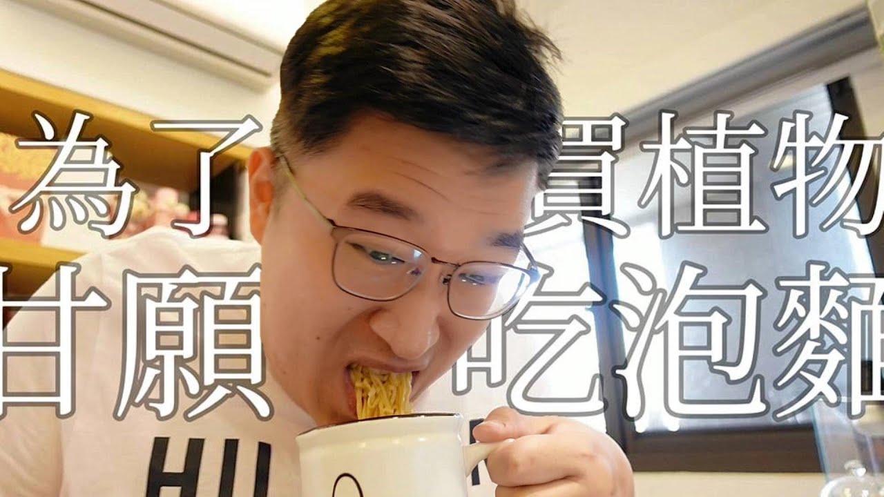 【播種挑戰&燈養】我們花了3千多塊買鬼棲閣種子｜原產霸氣樹狀的塊根植物｜貴翔植物燈｜多肉實驗室｜Euphorbia Guillauminiana Seeding & Grow Lights Test