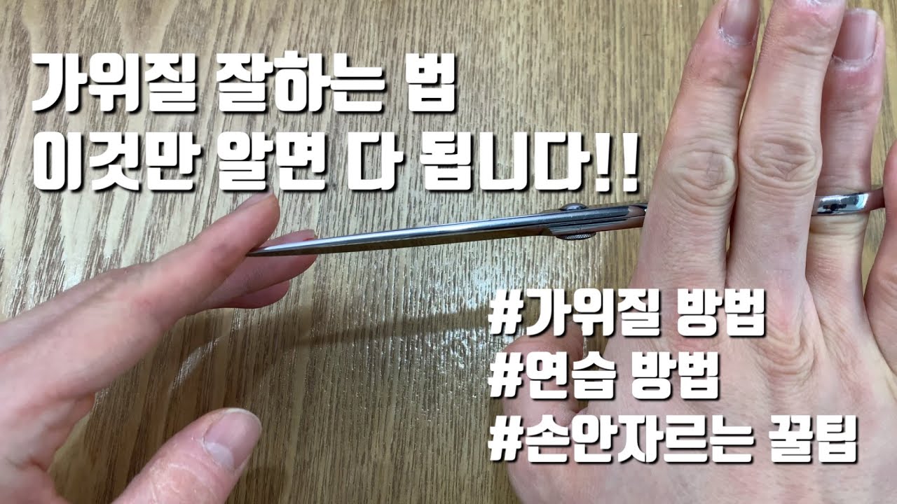 커트 배우세요? 그럼 가위질을 잘해야죠!! 가위질 연습 방법 손 안자르는 꿀팁