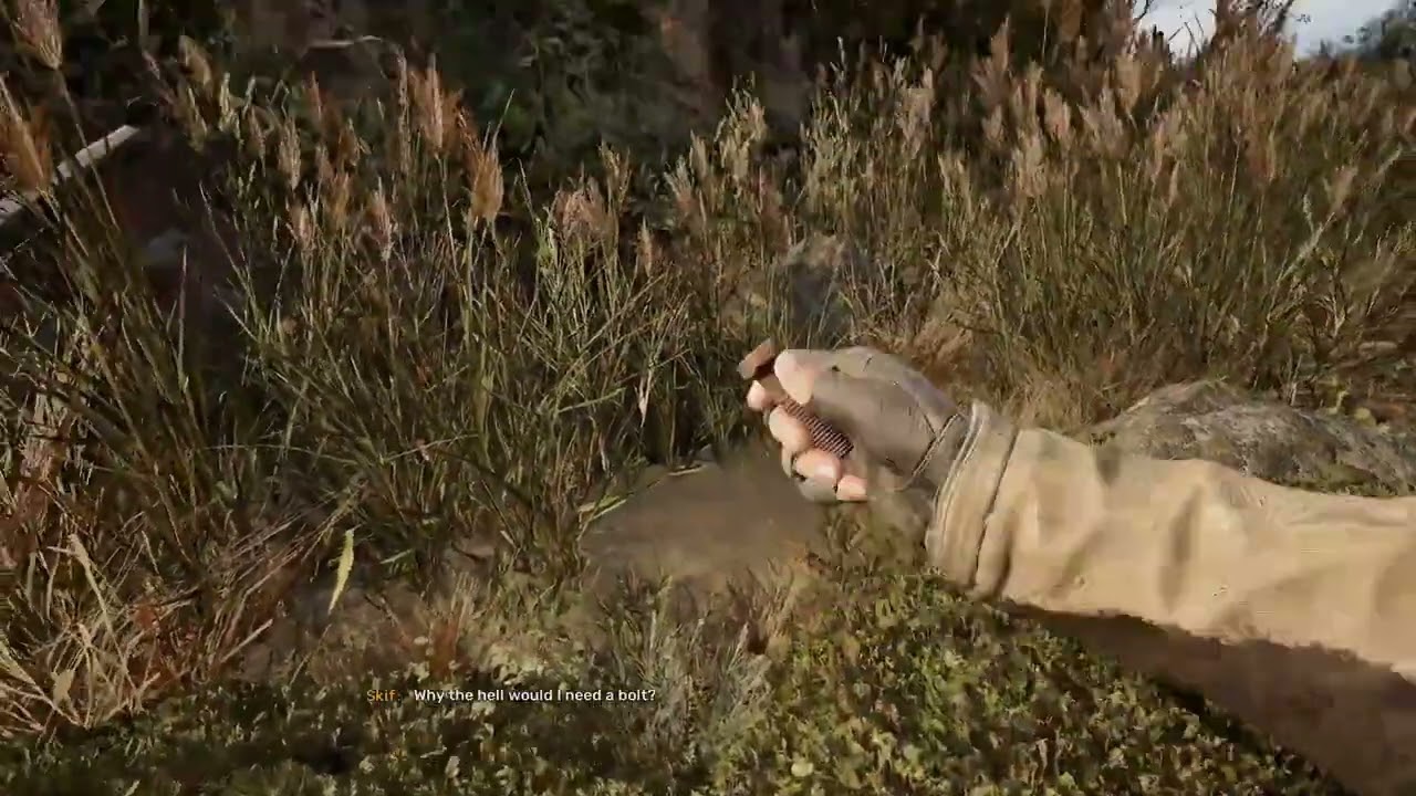 A very good example for the list of games responding directly to me. (From  STALKER 2 RP LP Ep #1)