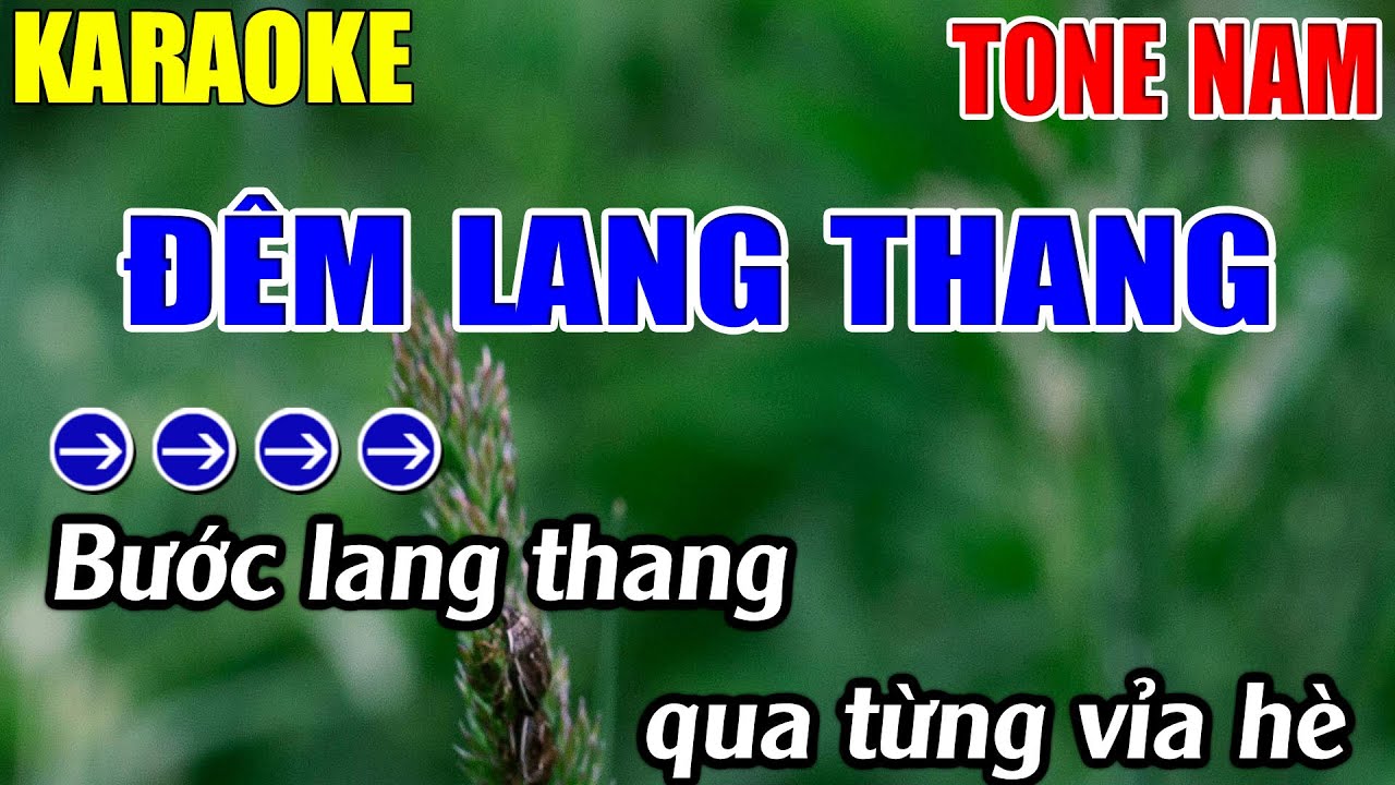 Đêm Lang Thang Karaoke Tone Nam Karaoke Lâm Nhạc Sống  - Beat Chuẩn