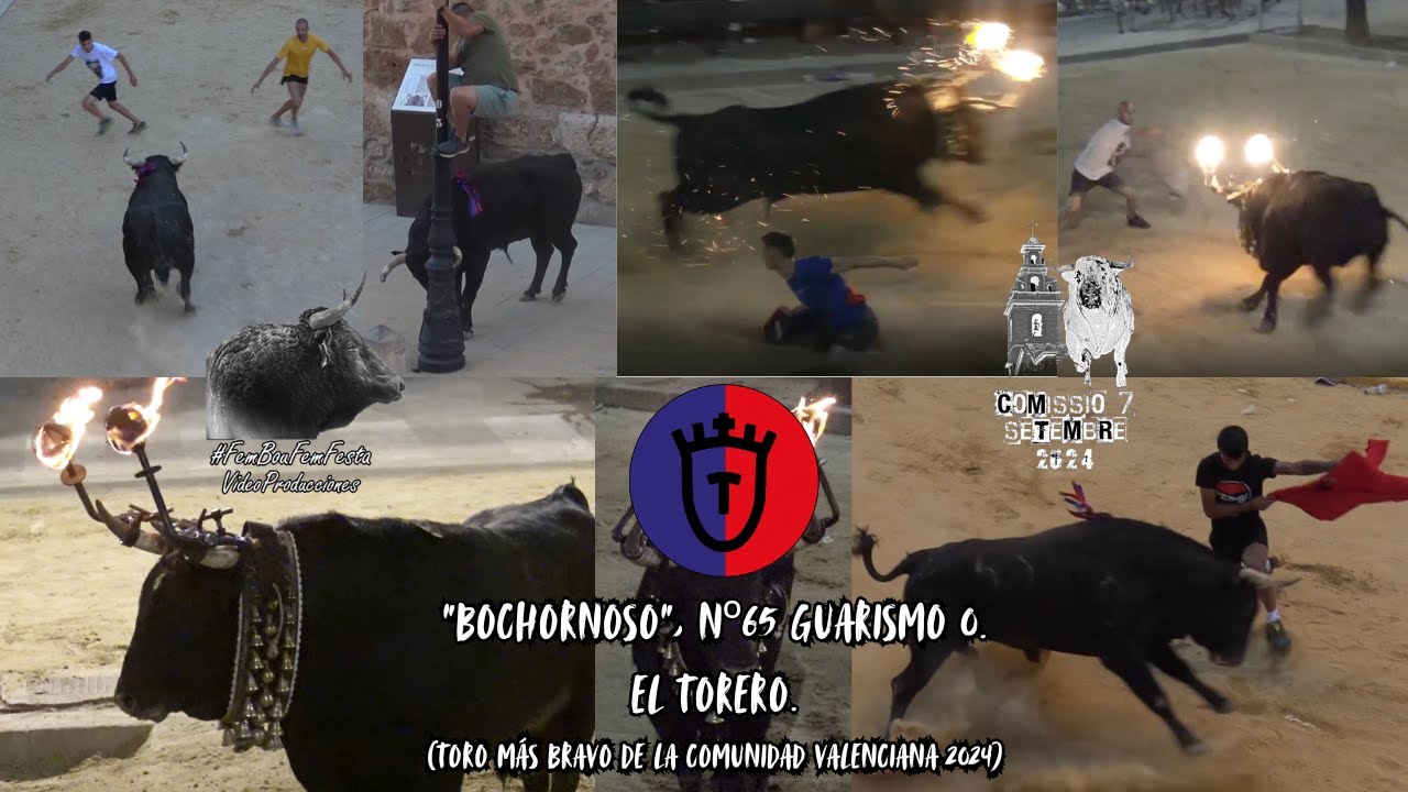 Toro 