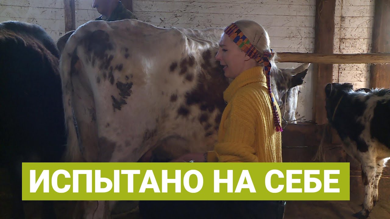 С чего начинается утро фермера в Якутии