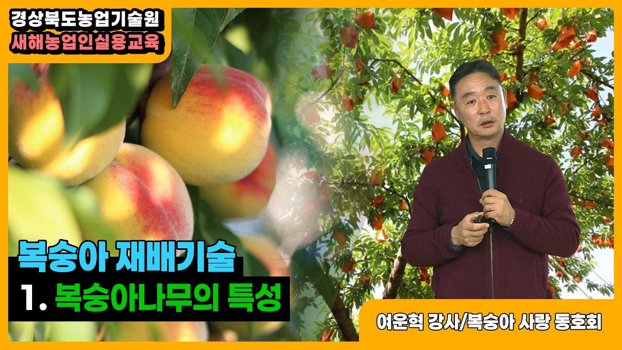 복숭아 재배기술 - 1. 복숭아나무의 특성