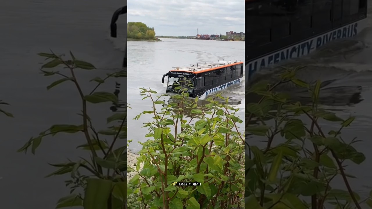 The Amazing Amphibious Bus That Drives on Land AND Water! #facts #trending #ytshorts