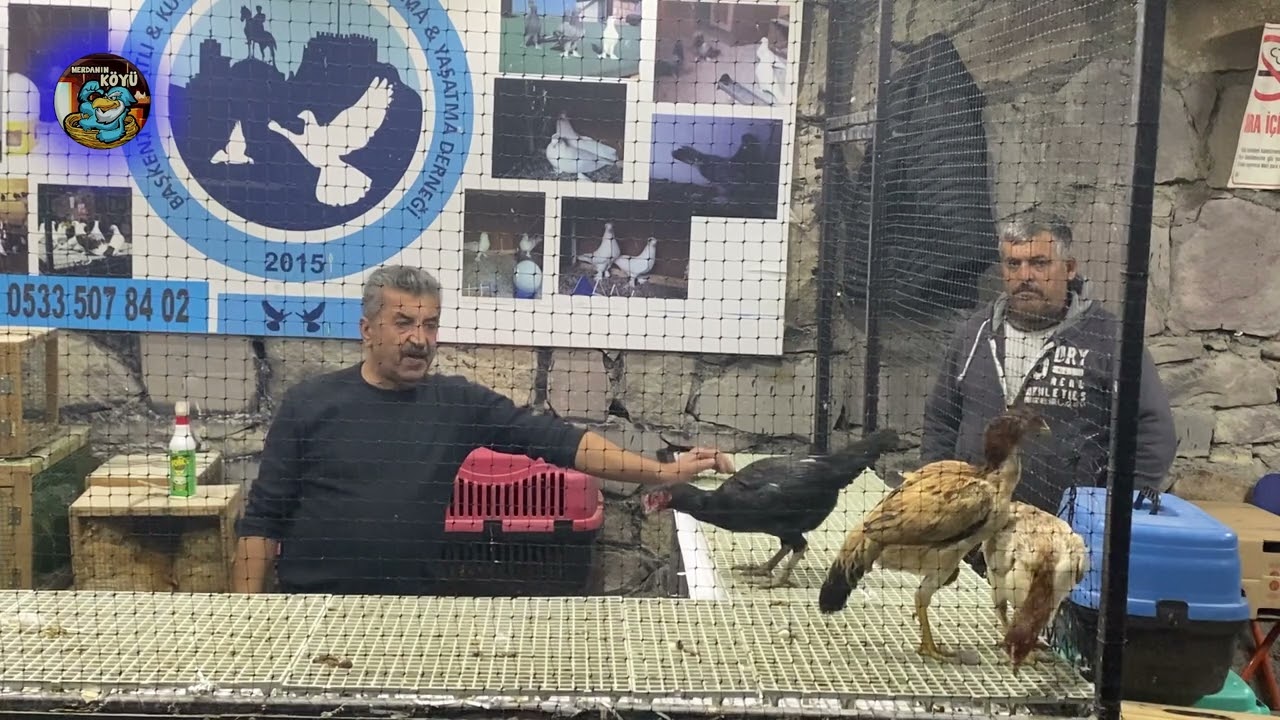 Yeni Yıl MEZAT ANKARA