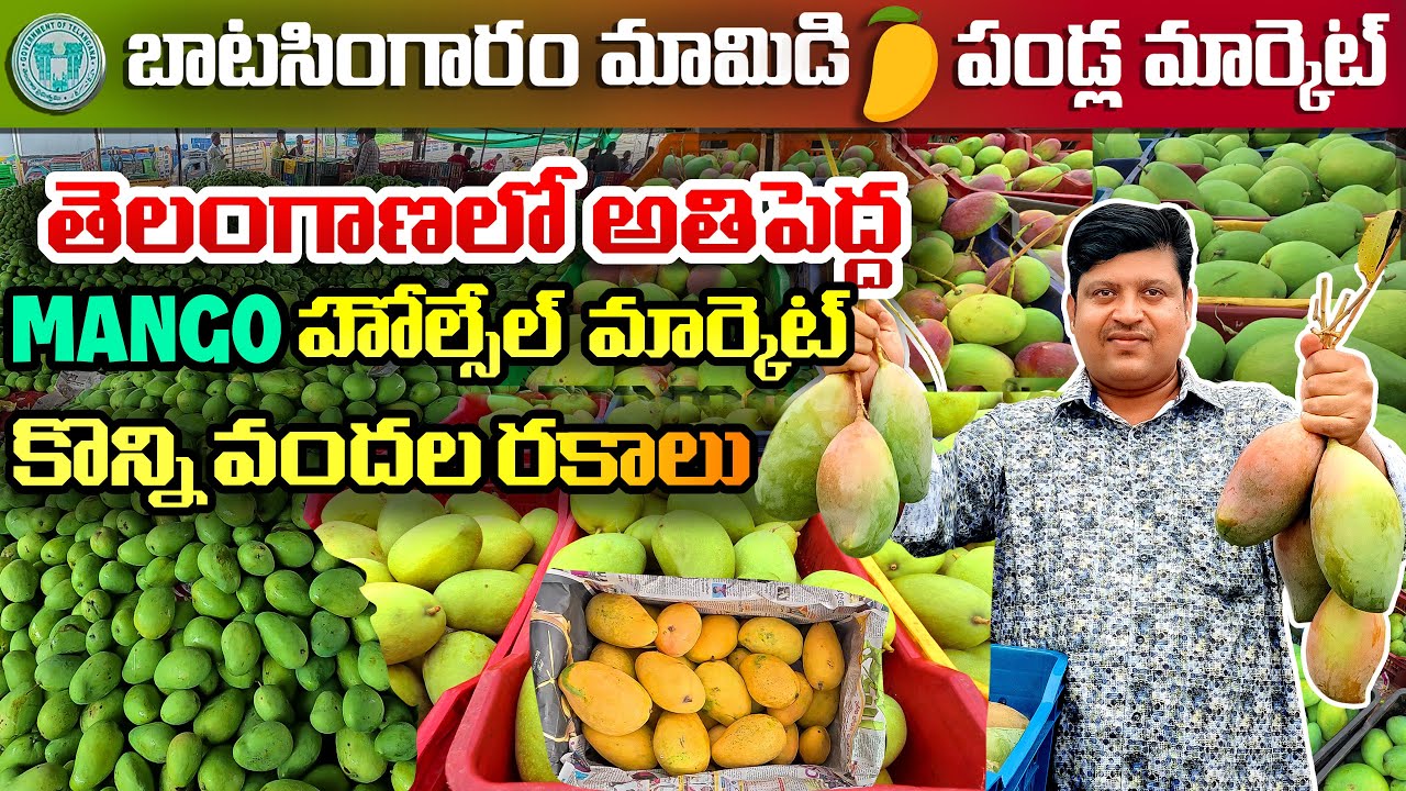 Batasingaram Mango Market | Telangana Biggest Mango Wholesale Market