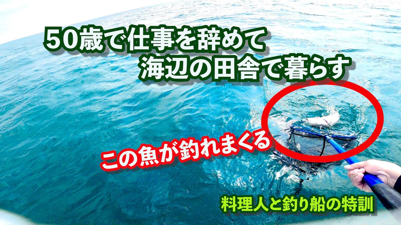 タイサビキとオモックで魚が簡単に大量に釣れ過ぎてびっくり