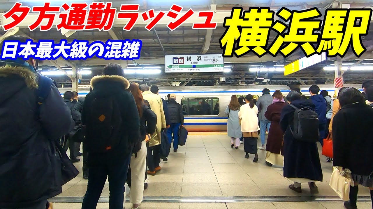 【通勤ラッシュ】日本最大級の大混雑駅！横浜駅の夕方通勤ラッシュ！【15両編でも厳しい？】JR東海道本線 横須賀線 京浜東北線 根岸線 湘南新宿ライン