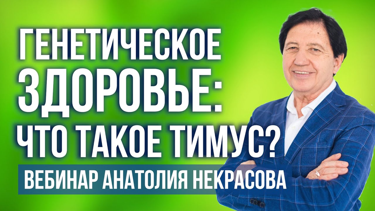 Анатолий Некрасов: Генетическое здоровье. Иммунитет. Тимус. Вебинар