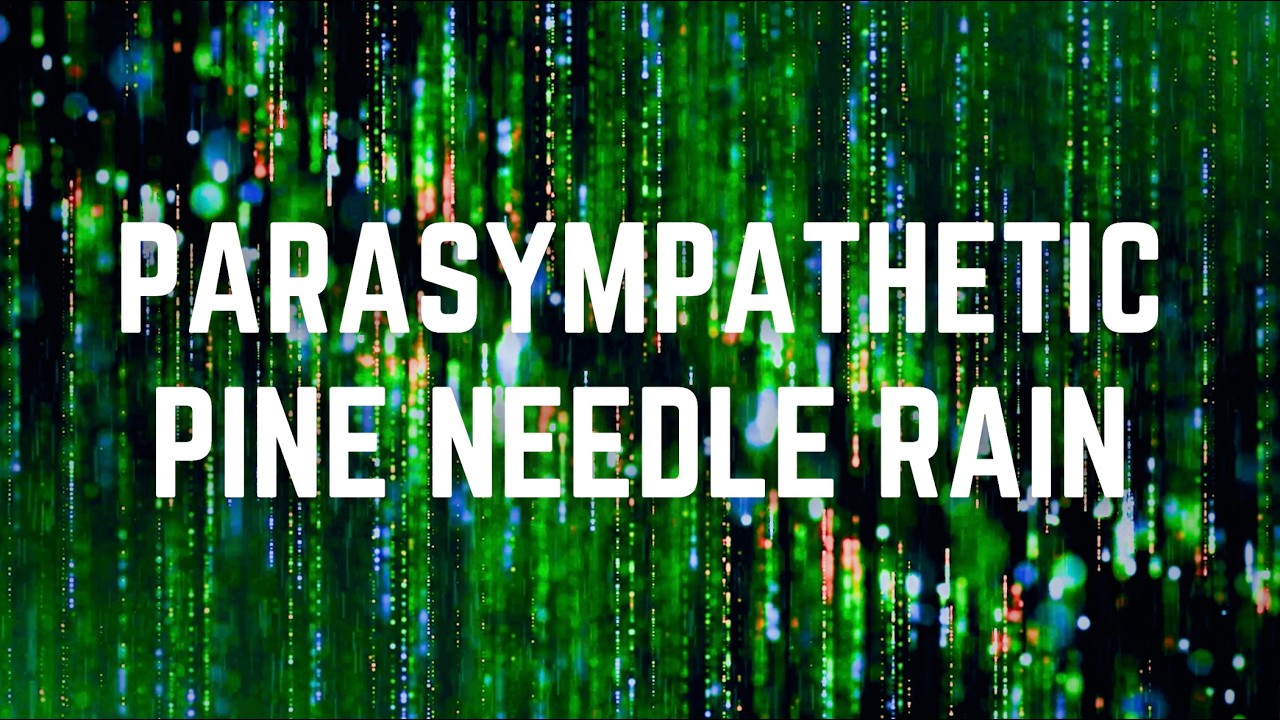 PARASYMPATHETIC PINE NEEDLE NOISE | 12 Hours | Sparkling Rain for Clarity & Deep Relaxation