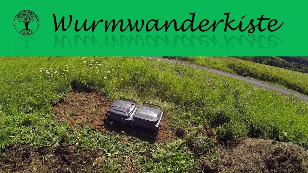 Wurmwanderkiste bauen - Mülltonnen recycling