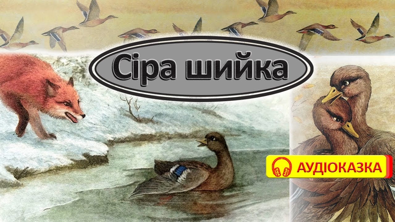 СІРА ШИЙКА. Аудіоказка для дітей українською мовою