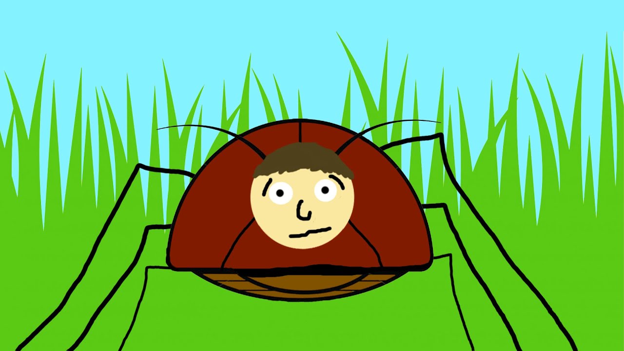 BUGS - Dreams Explained