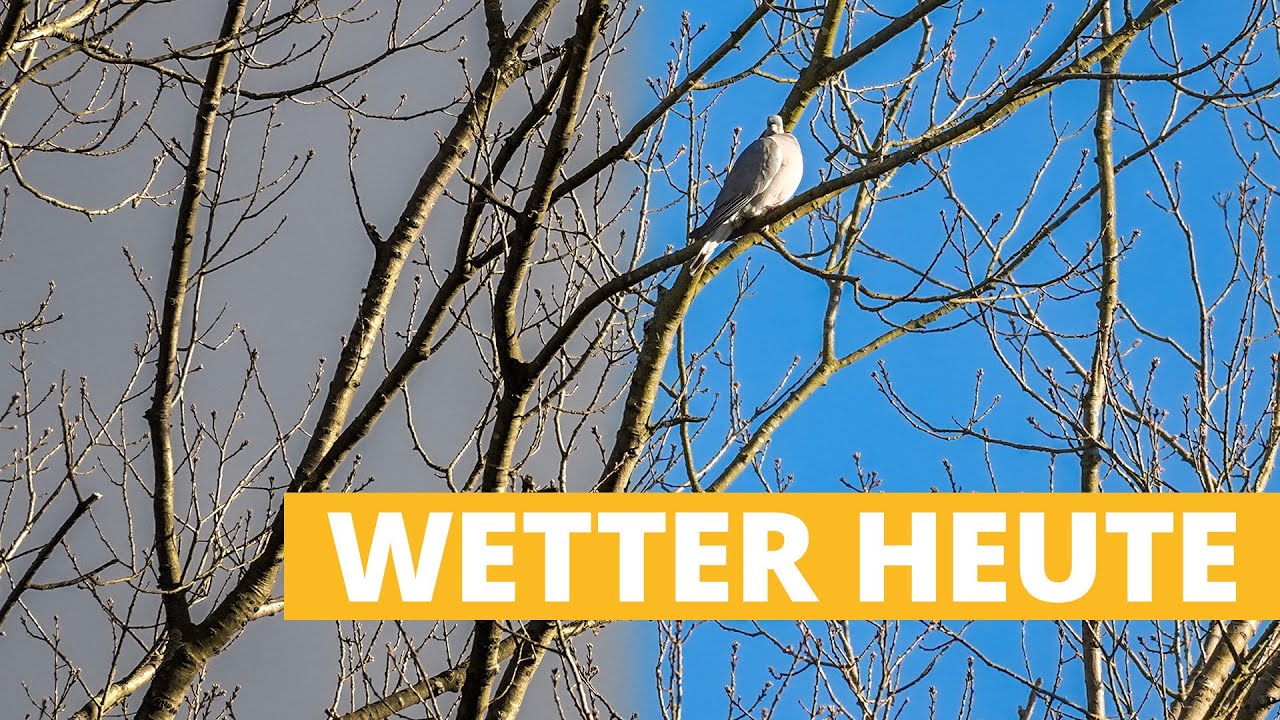 Wetter heute: Grauer Novembertag - au&szlig;er in diesen Bundesl&auml;ndern