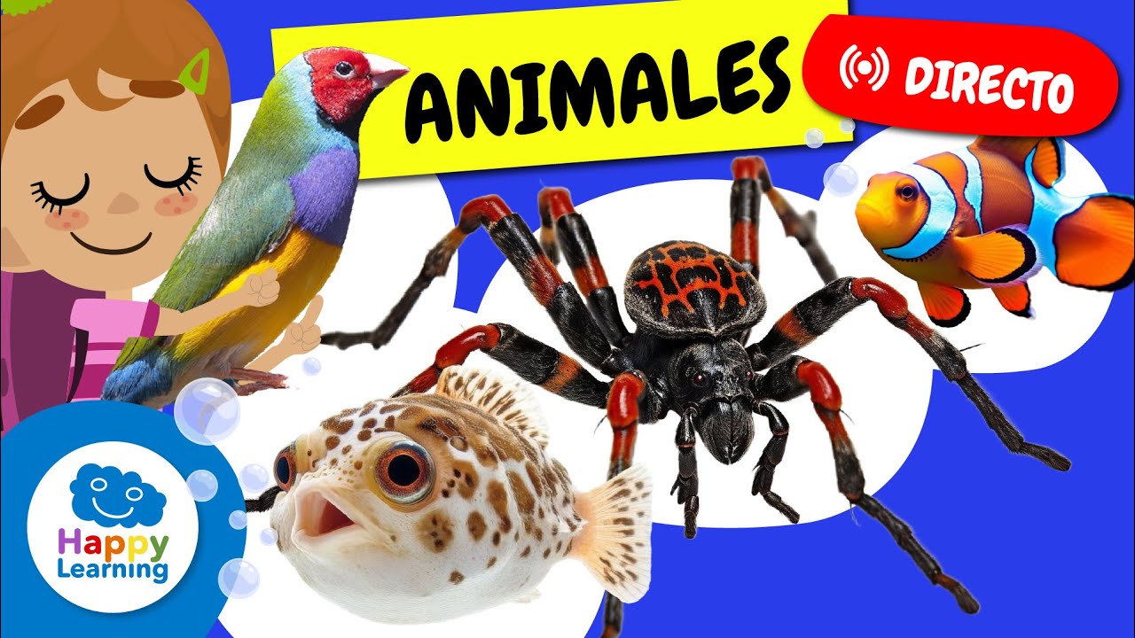 🔴 DIRECTO | 🕷️ Animales increíbles: ¡Arañas, tiburones, aves y muchas curiosidades! | Happy Learning