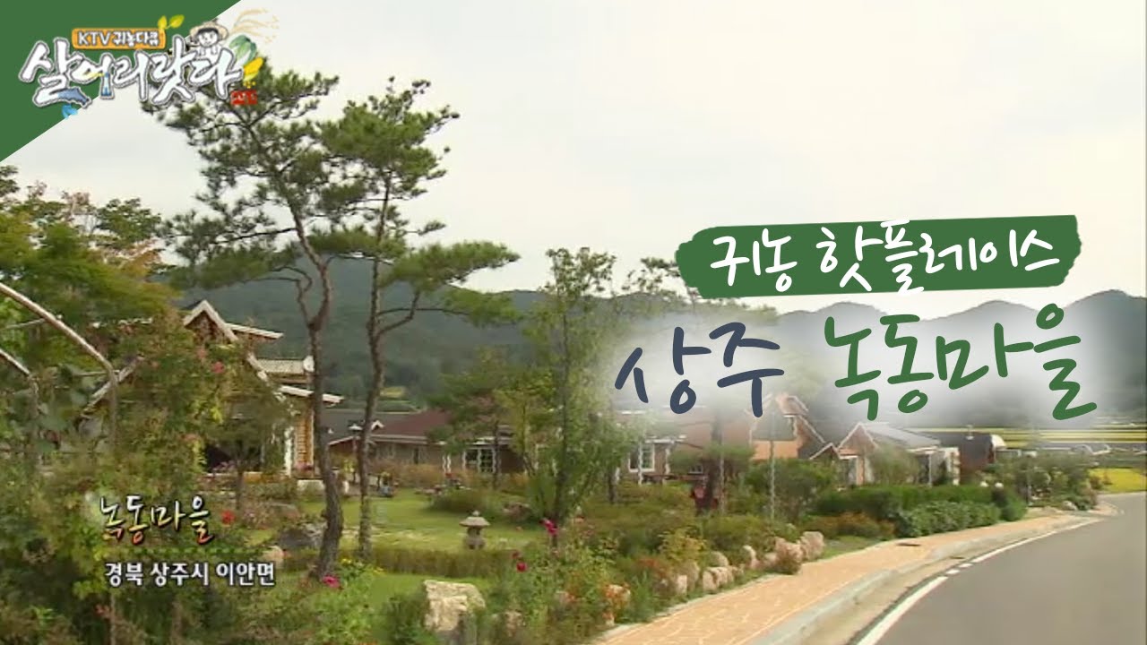 (경북 상주) 은퇴를 앞둔 사람들이 탐내는 마을 - 상주 녹동마을, 사람이 북적북적 된 이유 (시즌1)