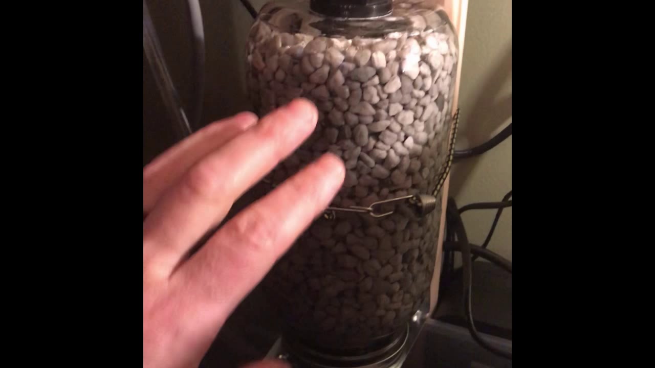 DIY Aquarium Nitrate Reactor