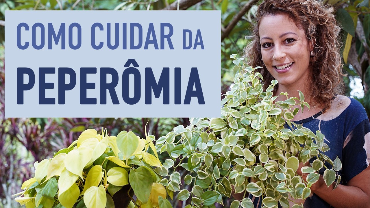 PEPERÔMIA é FÁCIL de CUIDAR com essas 6 DICAS