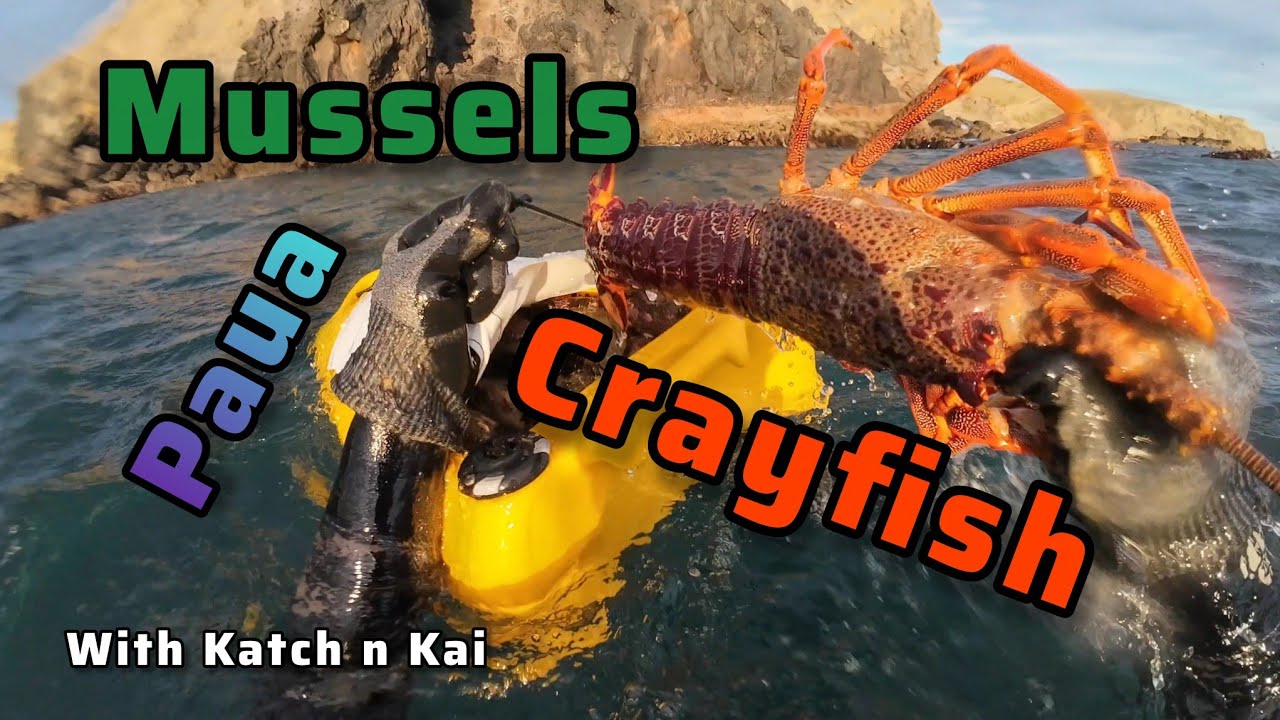 Diving NZ’s South Island for Crayfish, Pāua, Mussels & Butterfish (Catch & Cook) with Kody