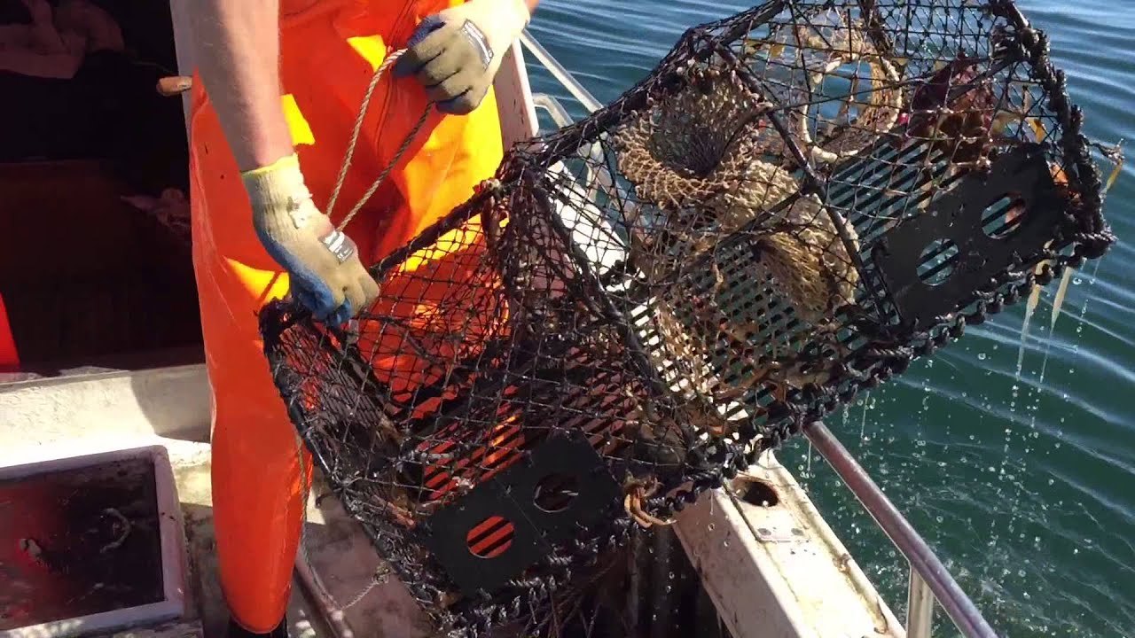 Hummerfiskeren